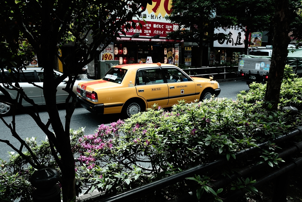 新宿区の花