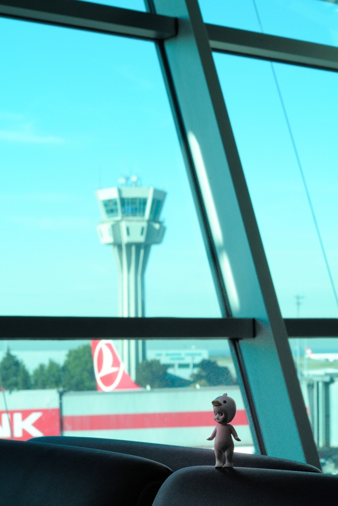 旅行中
