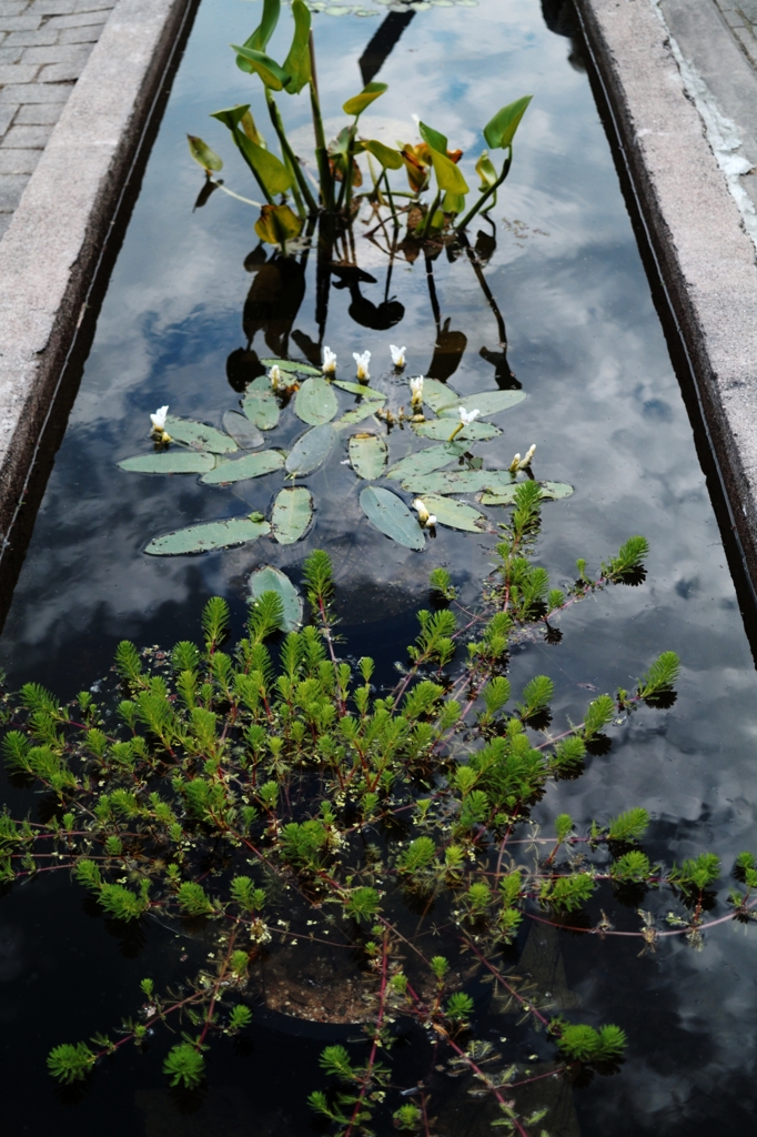 植物園