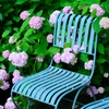 夏の花、アジサイ