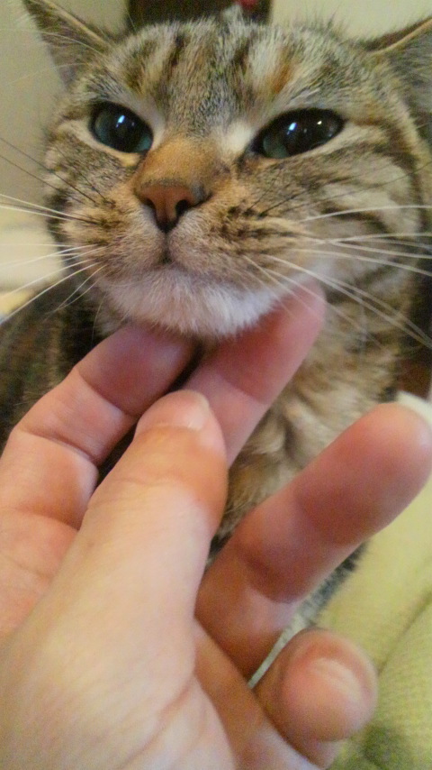 もっとしてぇ～☆