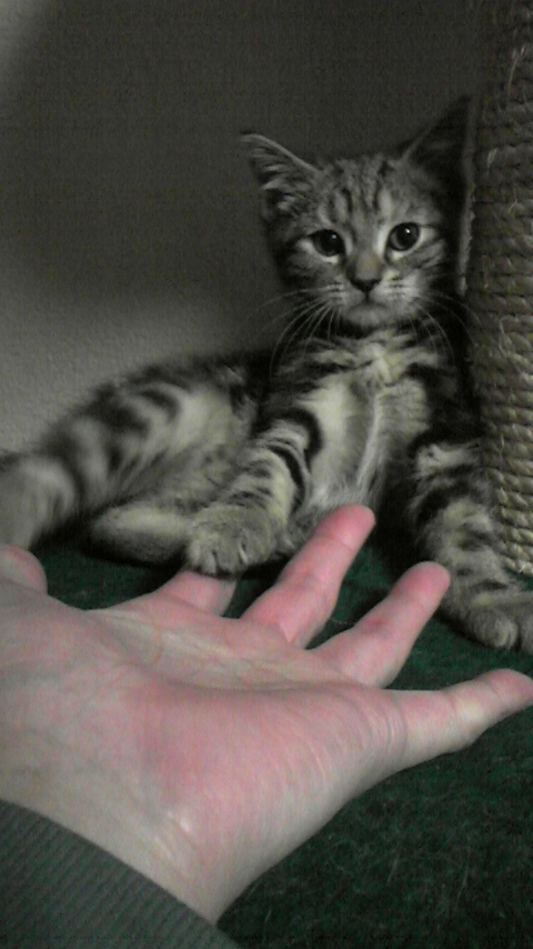 ｢お手！…じゃなくて指！ｗ｣