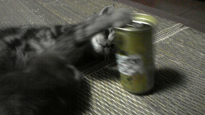 シャッ！