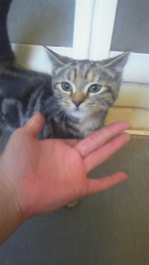 初めてのシャワー♪