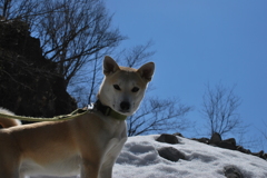栃木 の山中にて