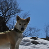 栃木 の山中にて