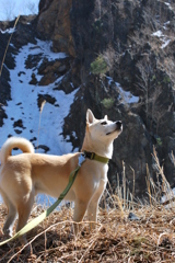 栃木 の山中にて