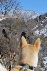 栃木 の山中にて