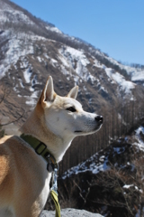 栃木 の山中にて