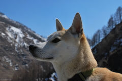 栃木 の山中にて