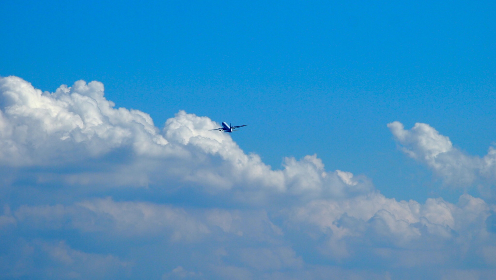 Take Off_002