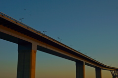 Sunset & Tokyo Gate Bridge 06