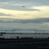 Morning flight