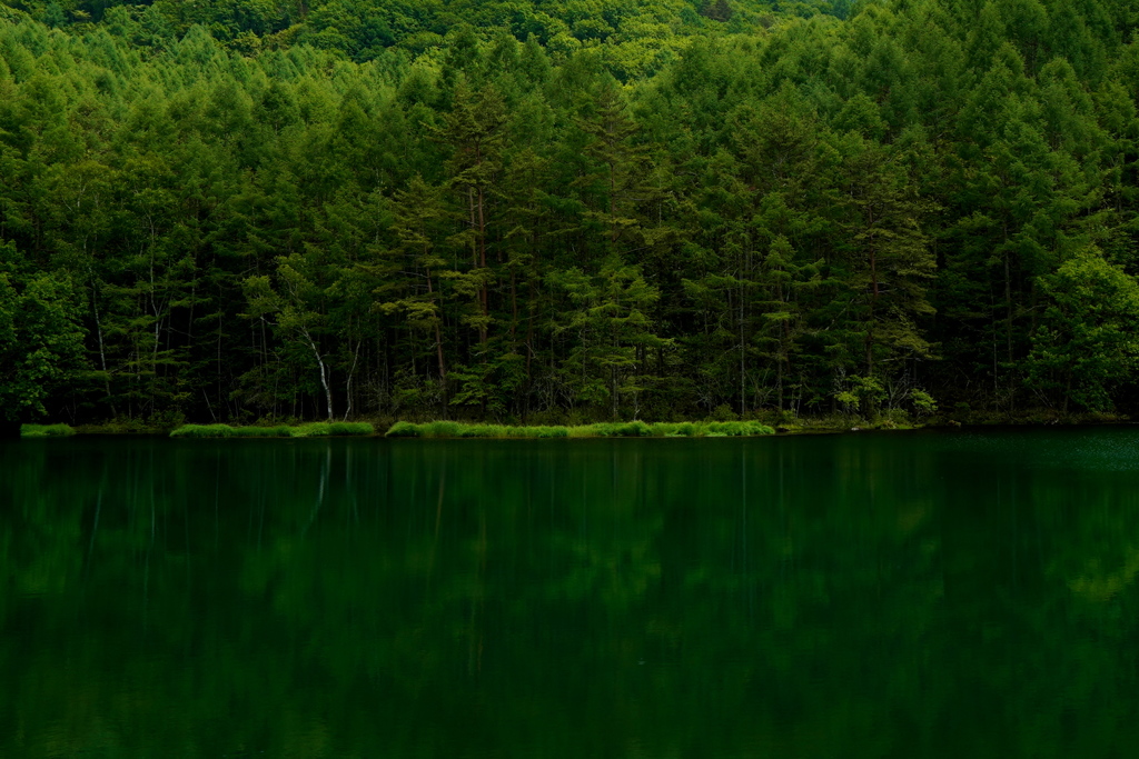 Untitled_41