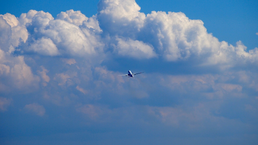 Take Off_001