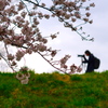 2016_0403_多摩川の桜とカメラマン