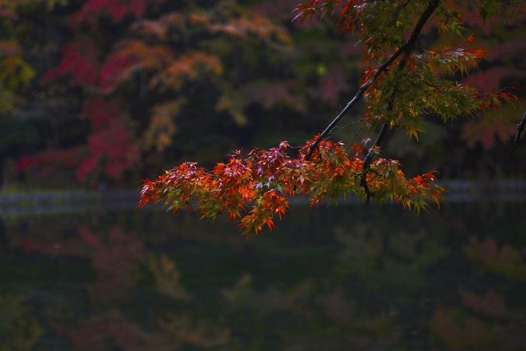 Untitled_72