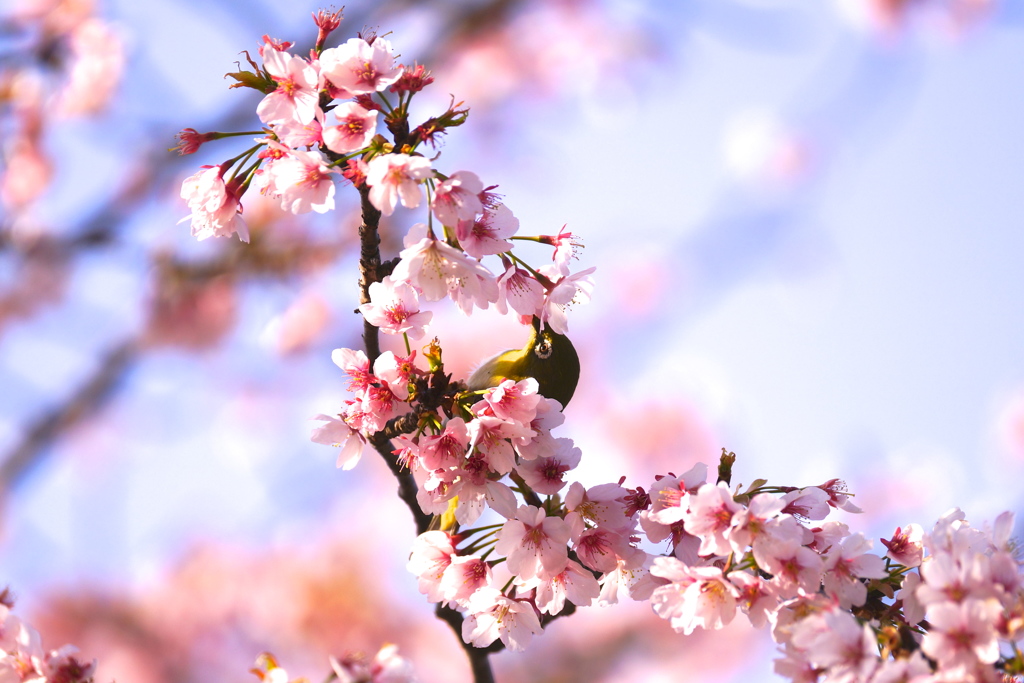 Springtime