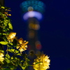 The floral end