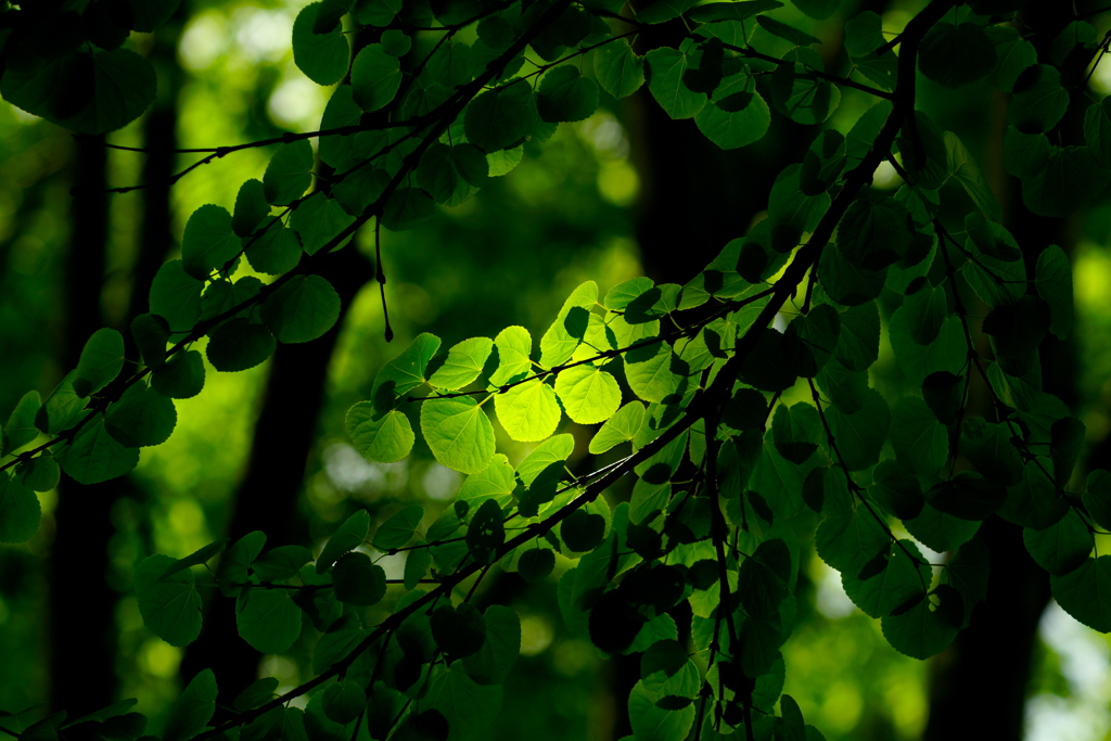 Untitled_42