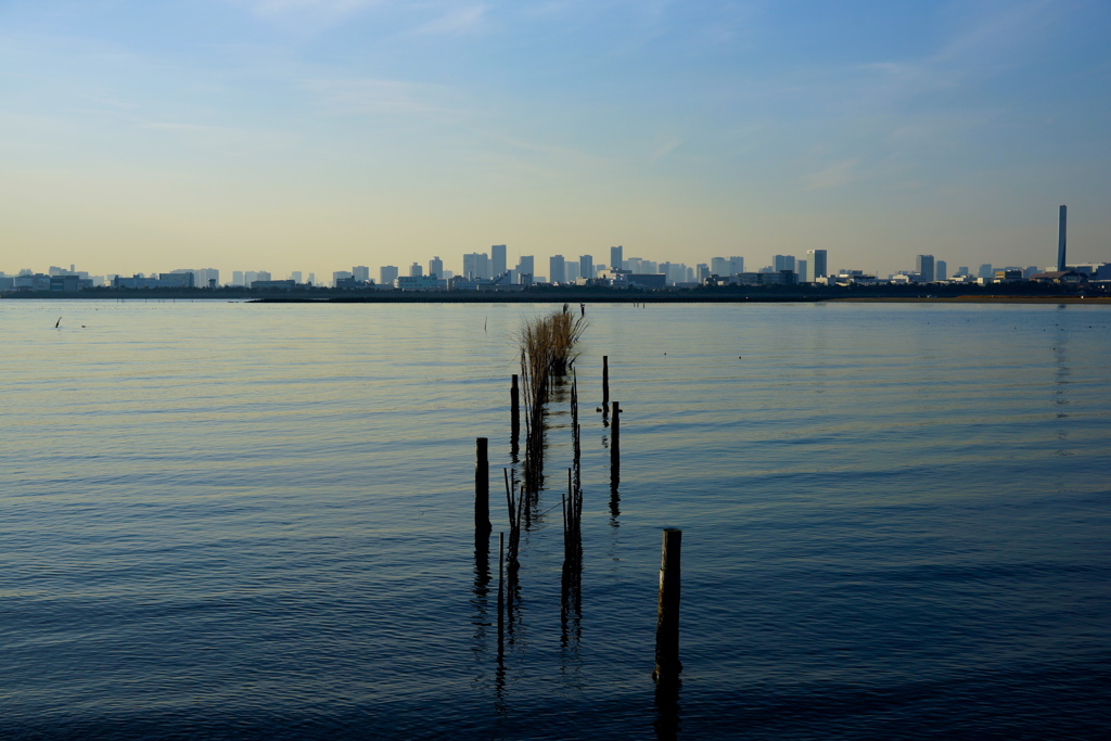 Afternoon in the Tokyo Bay