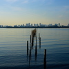 Afternoon in the Tokyo Bay