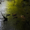 Untitled_51