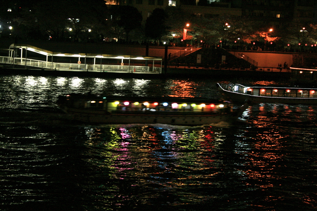 隅田川の夜(春)4
