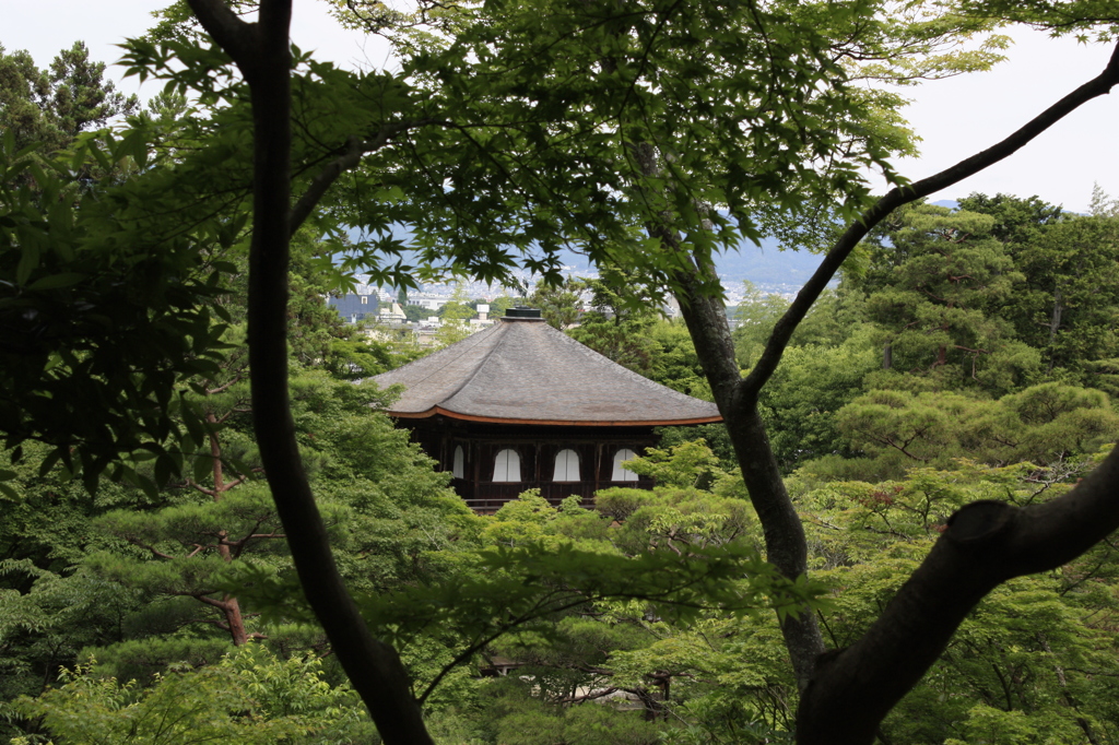 慈照寺２