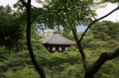 慈照寺２