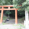 ひとやすみ２