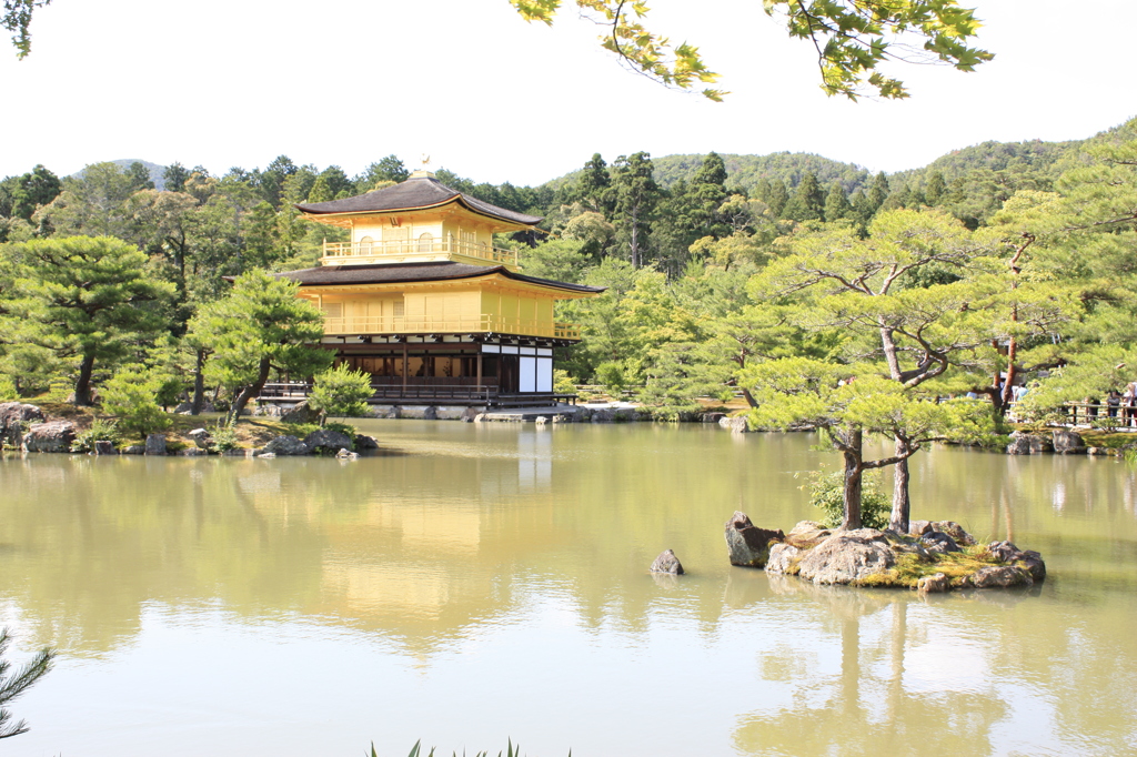 梅雨明けの鹿園寺