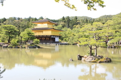 梅雨明けの鹿園寺