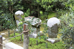 なに？