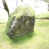 石が生えた
