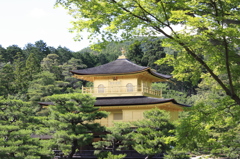 鹿園寺２