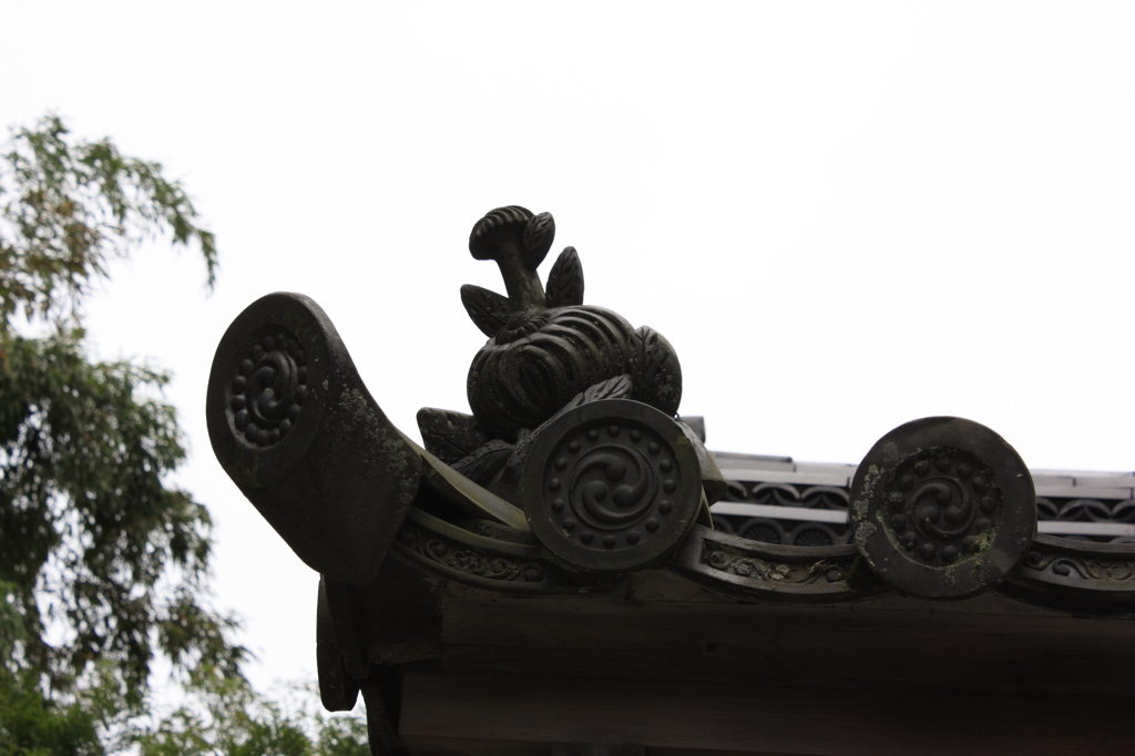 瓦鼻
