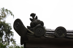 瓦鼻