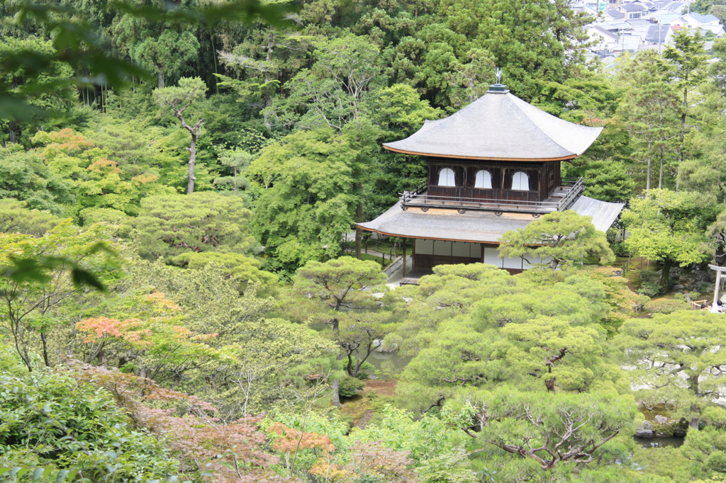 慈照寺