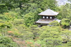 慈照寺