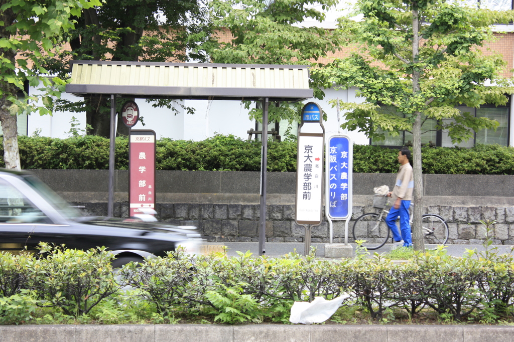 京大
