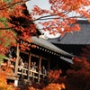 紅葉美しく