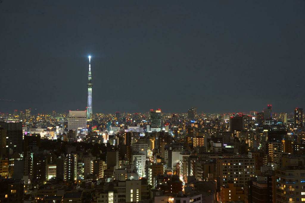 スカイツリーの夜景