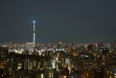 スカイツリーの夜景