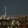 スカイツリーの夜景