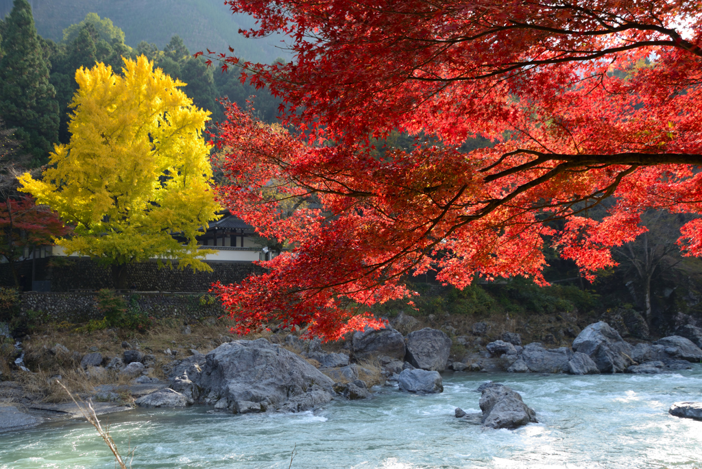 御岳渓谷紅葉