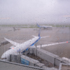 雨の日の空港
