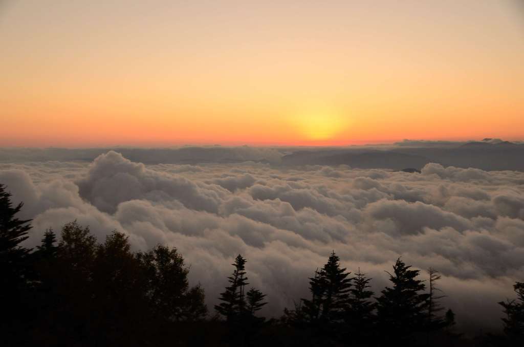 夕日に染まる雲海