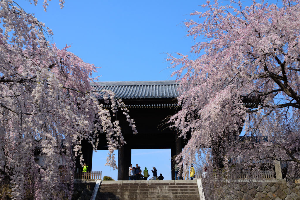 東郷寺