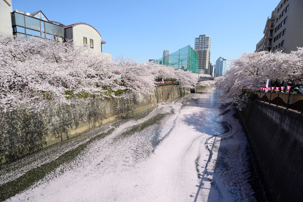 花筏アート